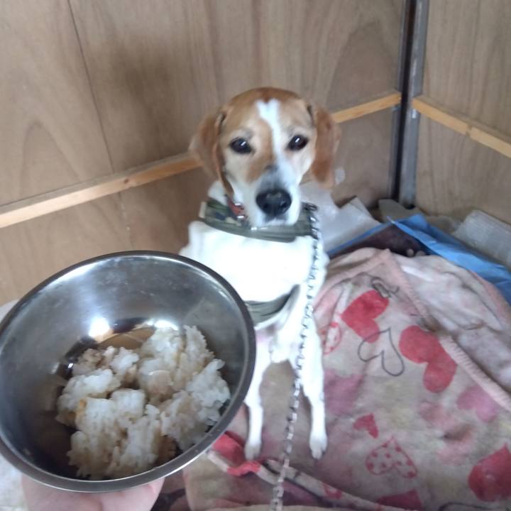 9012071f 803e 4397 8359 1bea5ed65d59 1686283845631