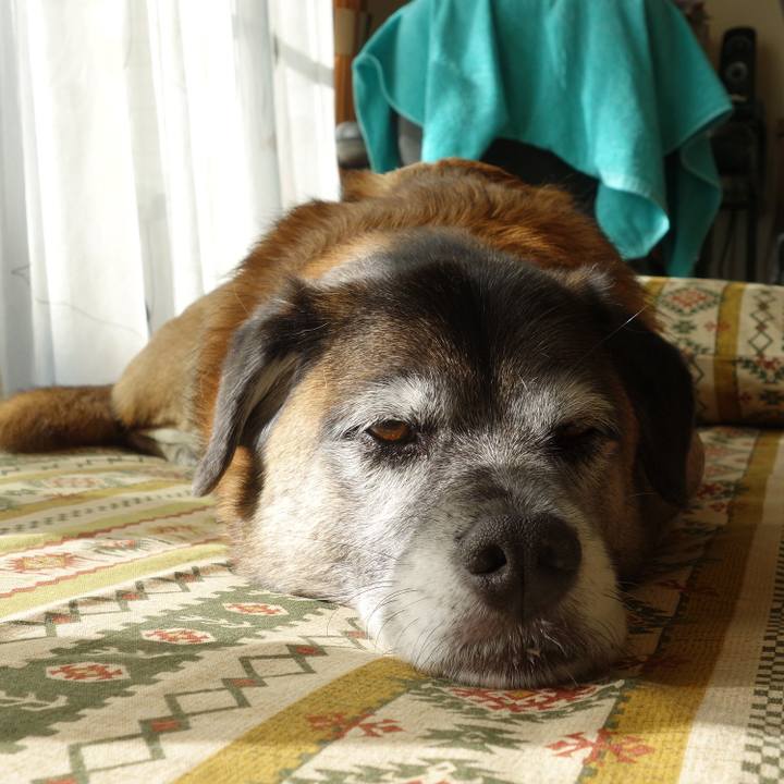 90125b0b cd40 4118 8e82 af4fb61d2c41 1622418797726