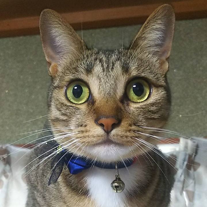 9012654f 217c 4ba9 a8d8 90d94c02836c 1763217803977