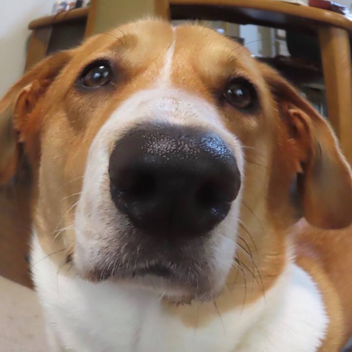 9012b611 12d9 4e47 b90d eafe54c36bc0 1624925356826