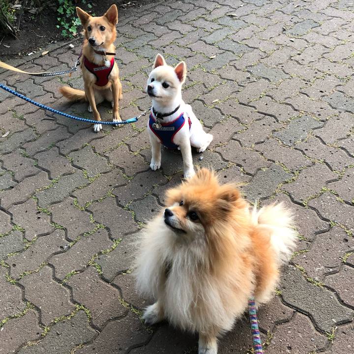 9012effa a96b 462c abae 78fdb4913c4e 1560947247604