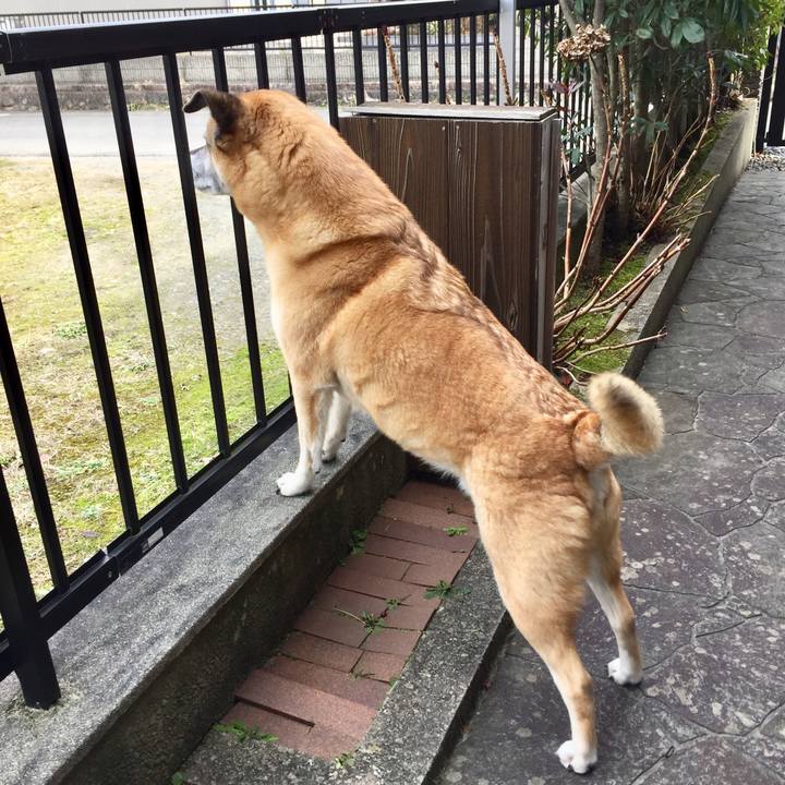 9013268c 6a0a 47e7 a487 9a9b758f3bbe 1582190266139