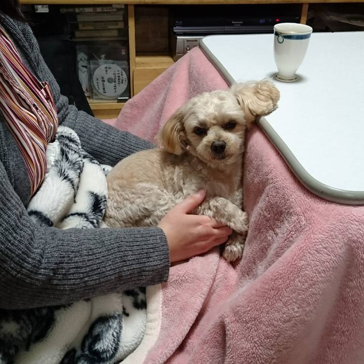 90132818 4d0e 4834 a538 0a130fcfbcf6 1577867048031