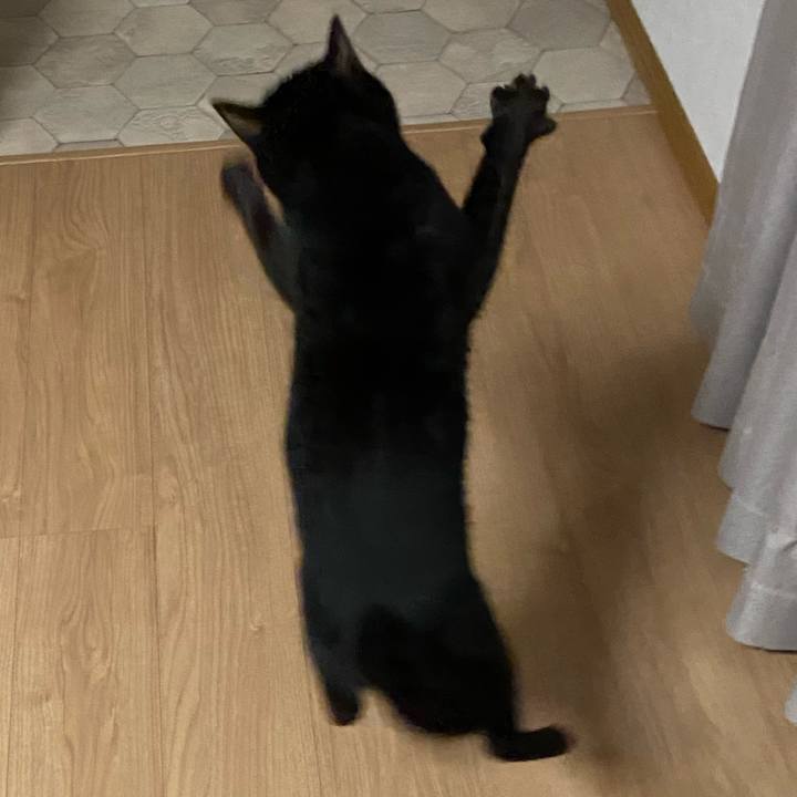 9013324a 2eda 4a3e acf4 890795b11a9e 1620818639362