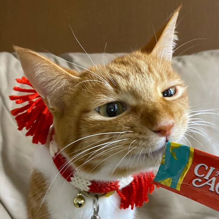 901337ae 72ed 489f bd45 895fca0ea11f 1608891875102