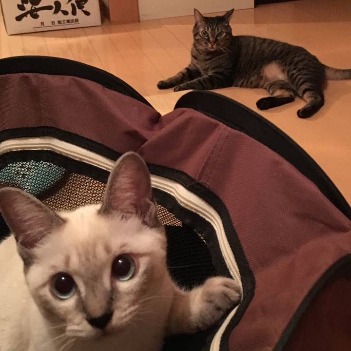 90133f37 3aa8 4a3a 89d5 6425d58ed1c1 1537971491819