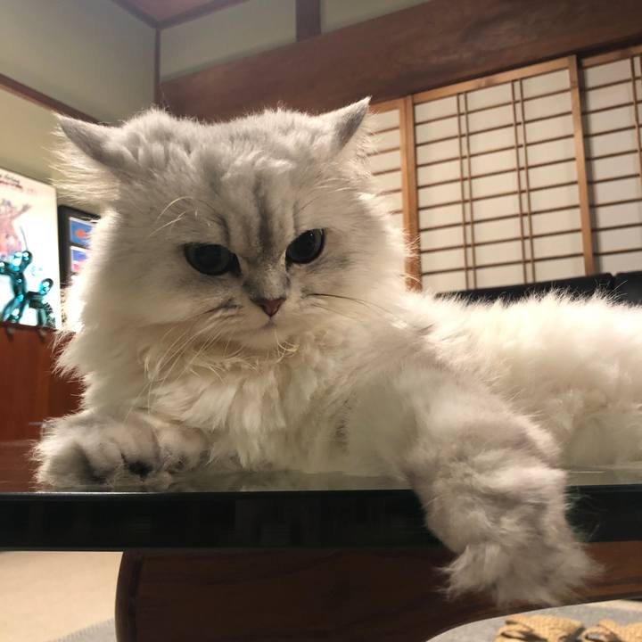 90134e46 d65e 486c a6c0 92ef8a64aee0 1564140435366