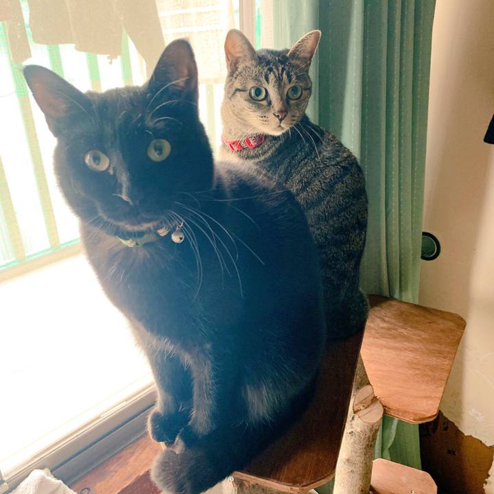 901396ad 9345 41a6 8433 f1342a47743e 1544532635361