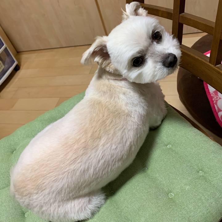 9013d1d0 1018 4459 ab4d d705634cee47 1582804687100