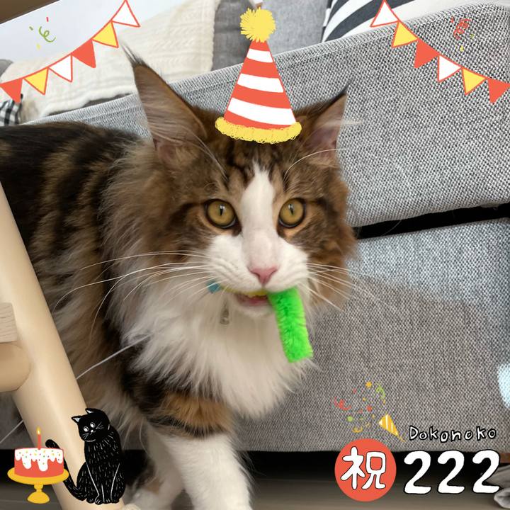 9013e04f 7bff 4650 87cd cbc7e22f1b5e 1645580409013