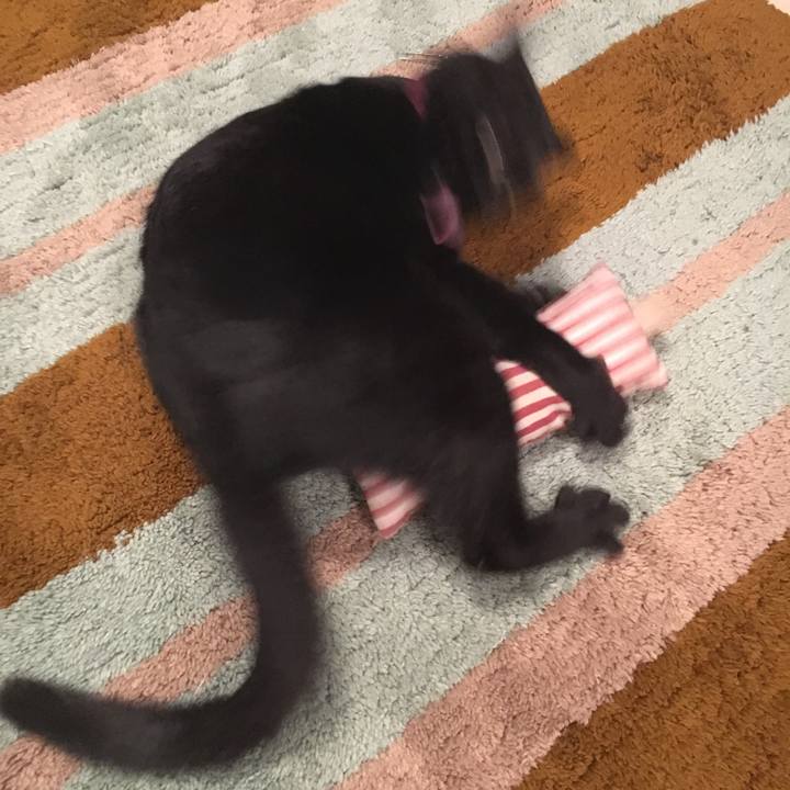 9013e3e3 a282 4c43 be89 7000d5ecaa63 1512991758737