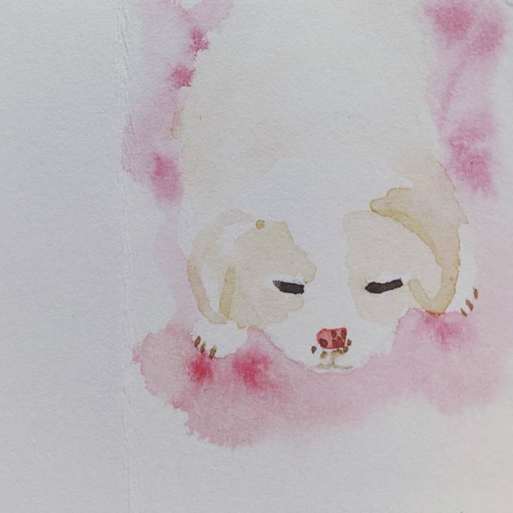 9013e80c 1410 4698 be22 7e18f4ac65ca 1604981857772