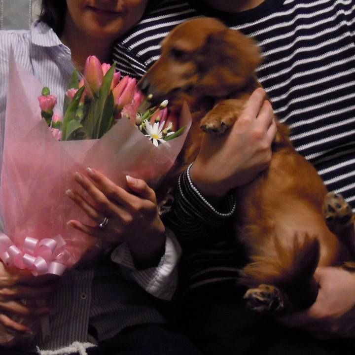 90141c9e 8fd3 458b a91b e8e1a1b59168 1560362517896