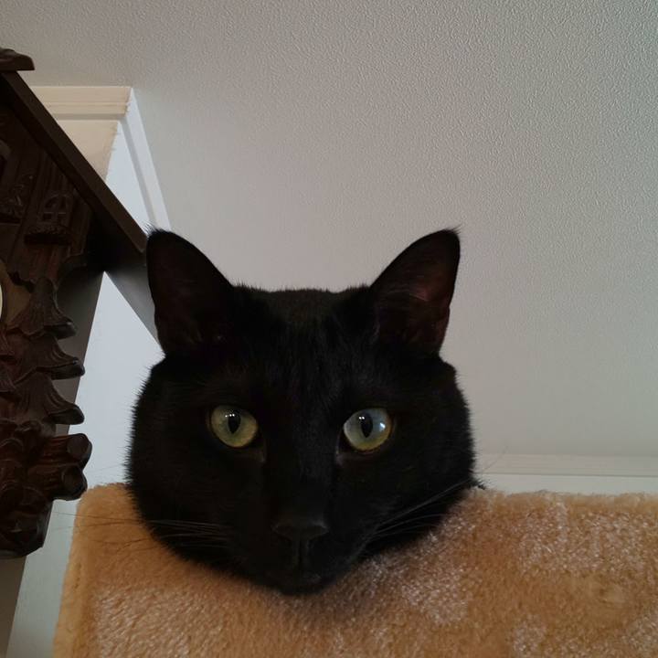 901421a6 542d 40b0 8393 4aef234b5d08 1612574896329