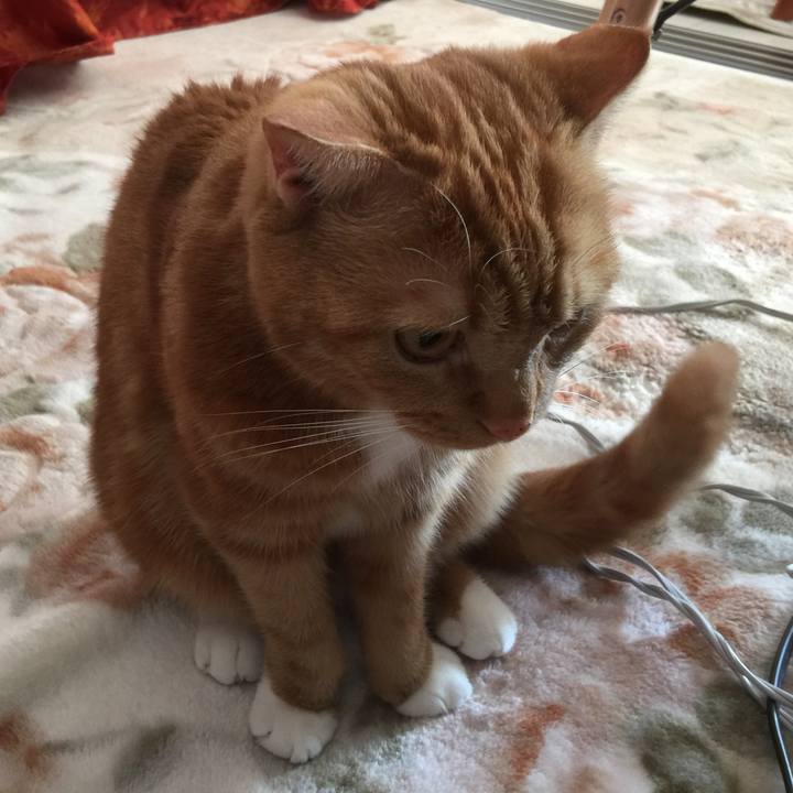 901430b4 f6e0 4544 aeff 1361bf474830 1577498327845