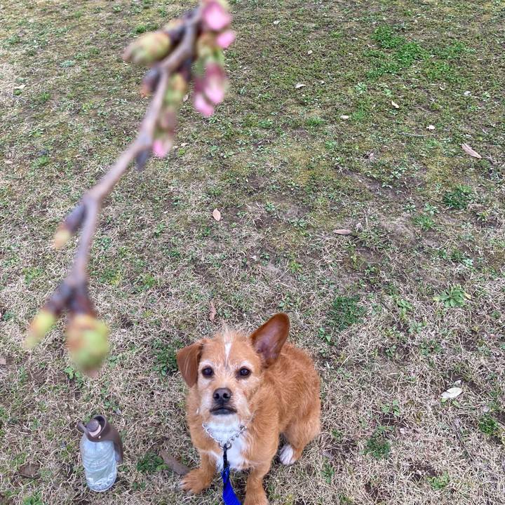 901488a3 9797 4ceb a0d3 e5567d48507e 1615883856089