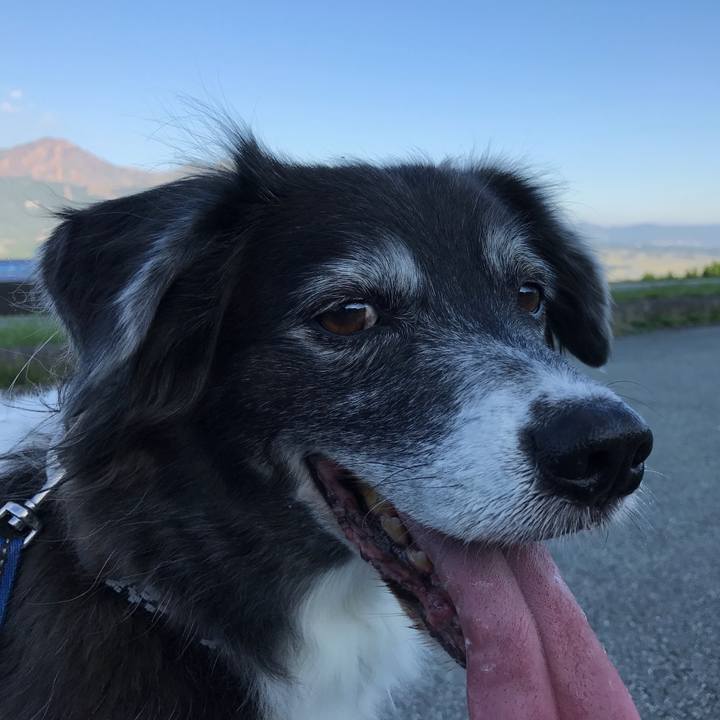 90149222 2dac 46f4 87e8 1725c119ea02 1509021557386