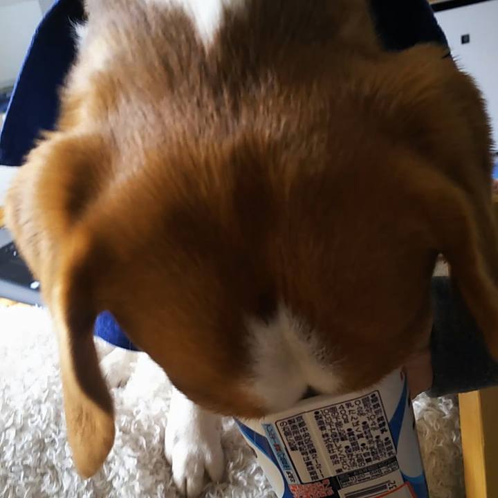 901495d9 810d 4d84 8276 0c7102093cec 1585028536936