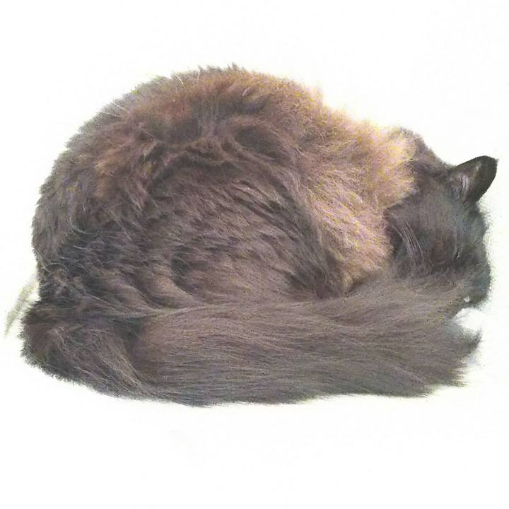 9014bf6c a4e3 423d 8e36 6492a513e40e 1546565472328