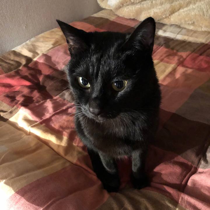 9014d476 86c0 4c7f bdf3 dbbd5a762af3 1669816092430