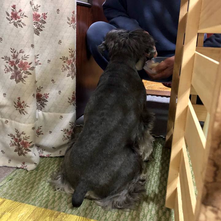 9014f315 92f7 4dd7 ab39 3b02f088b9be 1614330769518