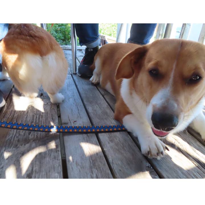 9015031c 83a0 404e 8ca0 6c8a146f67e7 1637370842713