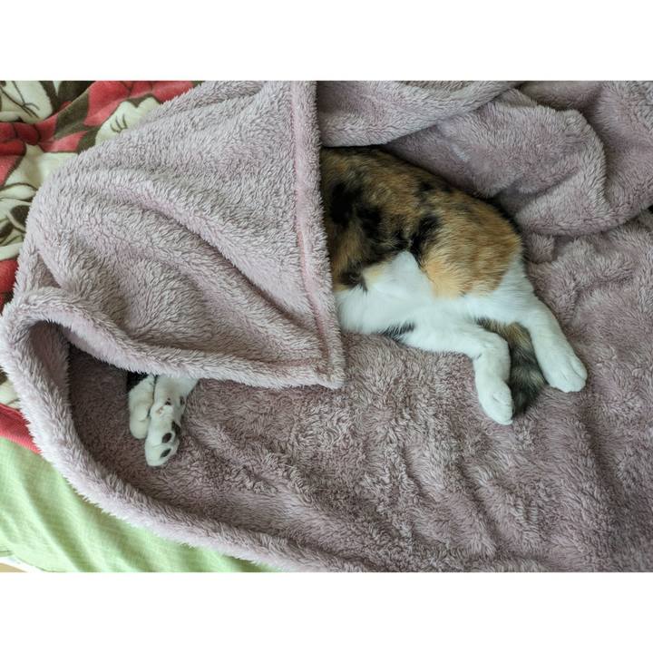 90160755 0c2f 421f aeb0 cbe8dcee2933 1703222886158