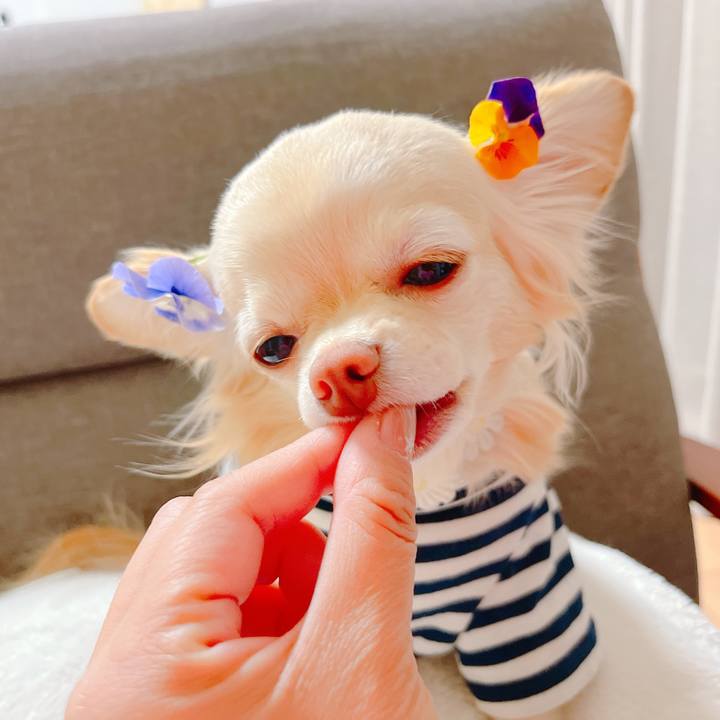 90160910 aaa8 40a1 b378 fc5c2039fe94 1648548496317