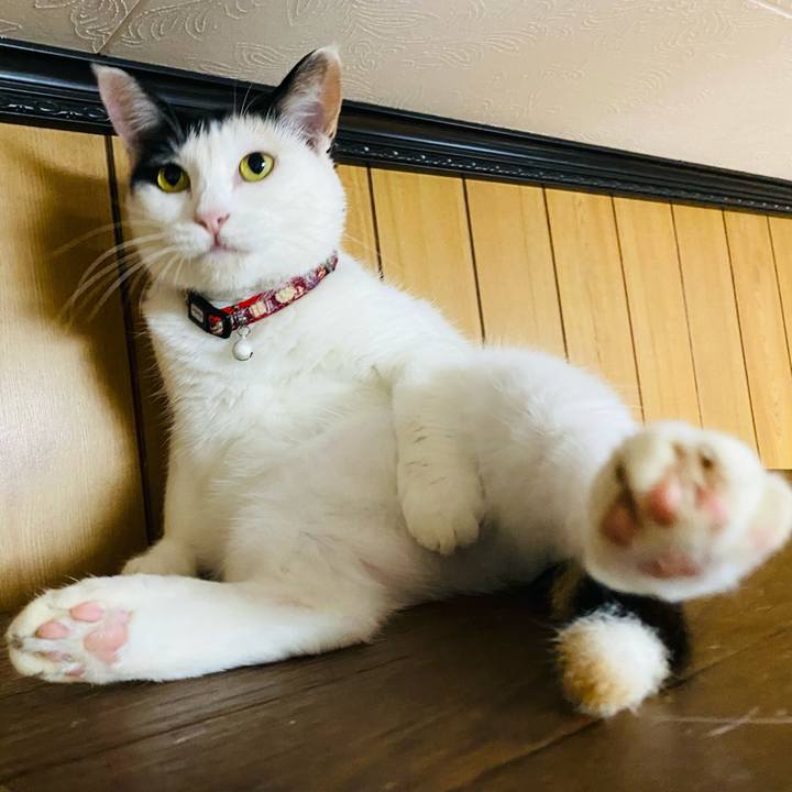 901633c5 87ba 4228 adad 3d9529eb4824 1659189168750