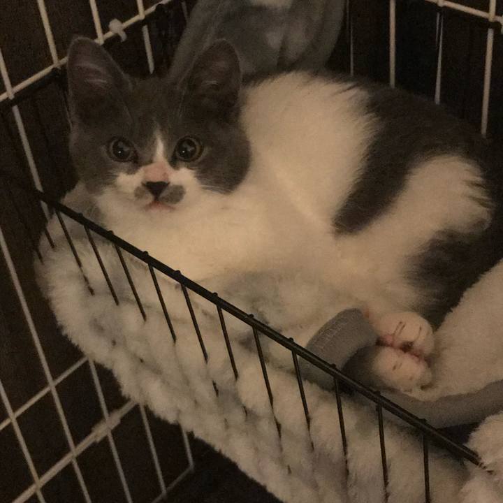 90168845 7824 447a 8e53 01b96e71fdaa 1751107290927