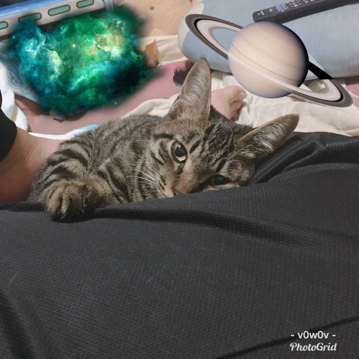 90168cf1 924e 46a0 9f06 f59fb1c029af 1545811218406