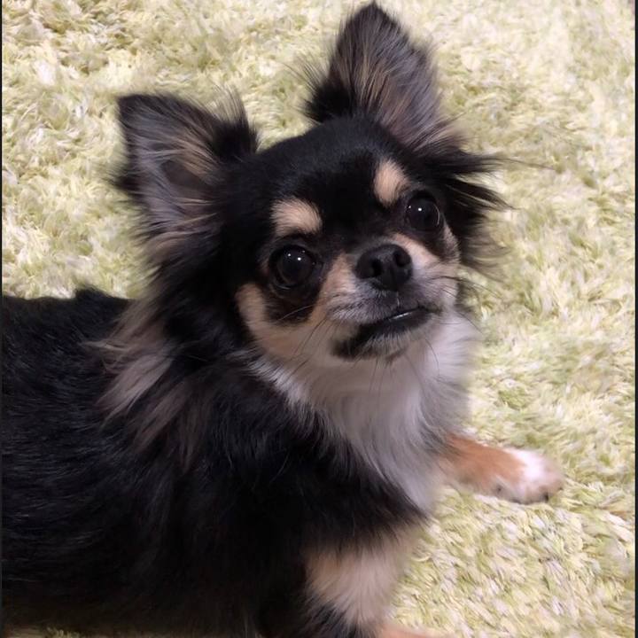 90169477 645d 4670 aa38 272d909a0d62 1556659541464