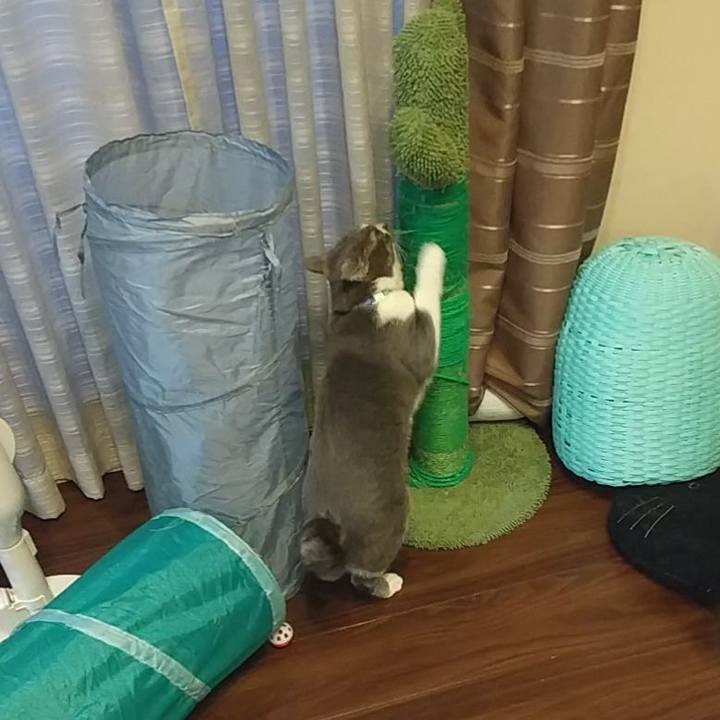 9016a15a 67d6 4c31 8955 ba8f92a7f326 1644188359444