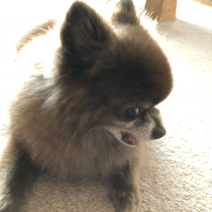 9016d0cc a2e0 4731 b6a6 90fcf1368c26 1573218783417