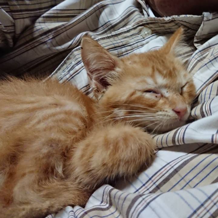 90171669 08ff 460f bcf0 6f9ca79311bf 1628943626945