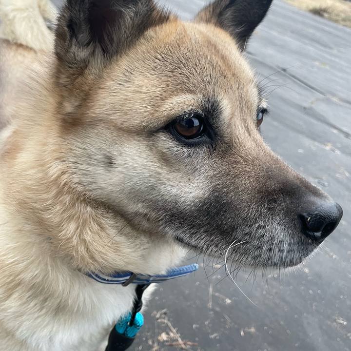 90171cdc 8240 48fb 99f3 b7ceb1d909a3 1676551067651