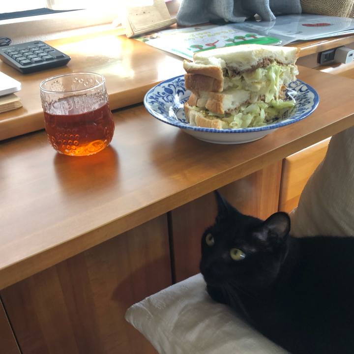 90172186 3297 4ba0 b249 386417a2f7d7 1628585459830