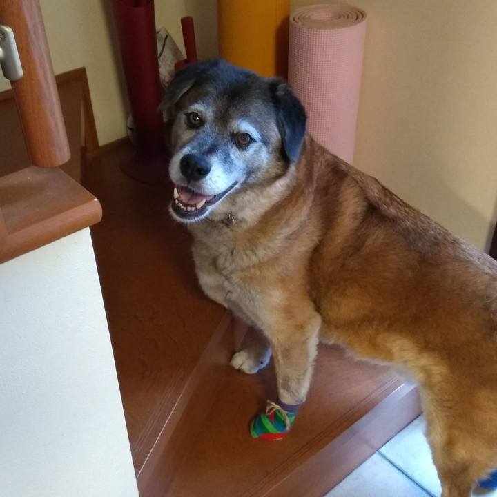 9017249f 7eb0 46c5 85b3 8e4779bdb059 1563662044059