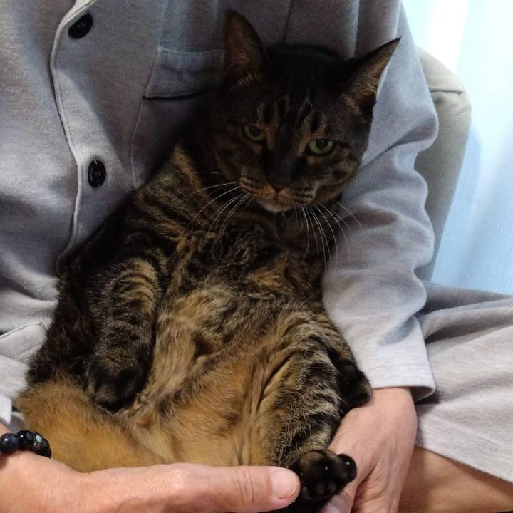 9017361a e04b 454c 8bd4 72d7c70ba441 1771802860243