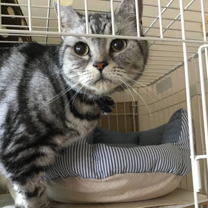 901744ef 7a1a 434d 8f3e cee905356913 1525850560898