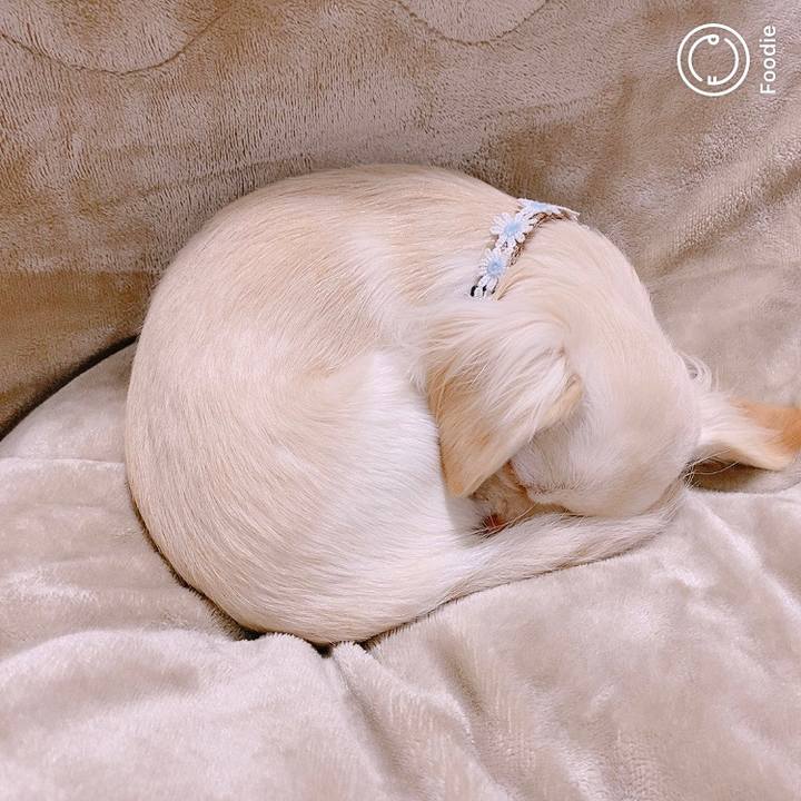 90174e13 a813 49a5 a24f 2f2324b179f7 1608623637082