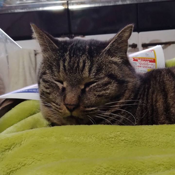 901766f7 cde6 416c b1c6 eb23166c3271 1675833763126