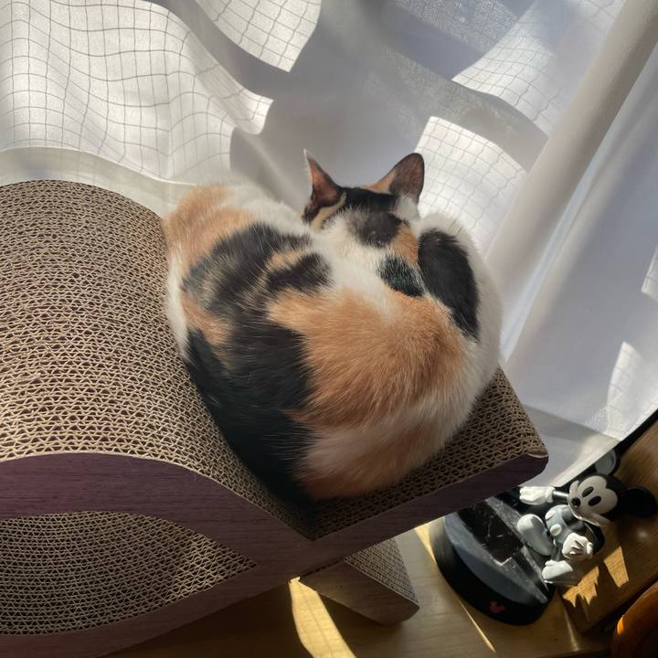 90176cb1 1733 42a8 96bf cb88cbe0944b 1676502262798