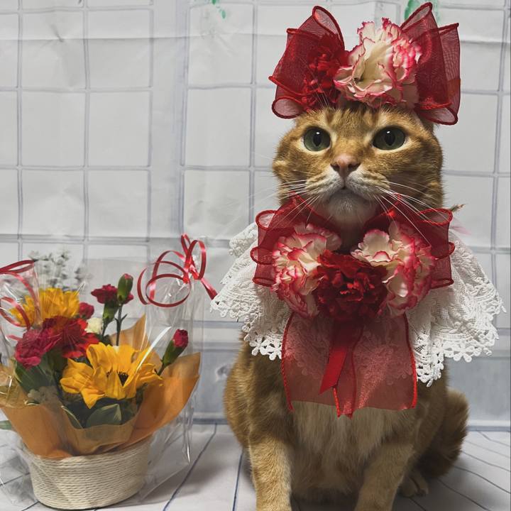 90176d82 efc4 443d be9f 755b5ff3cbad 1715467617836