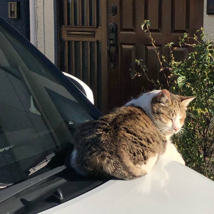 90178749 250b 4261 ad31 b9abbd787a08 1552336252322