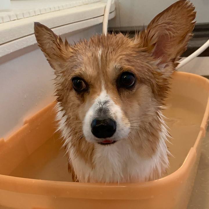 9017a6e6 81da 4a3a a0f3 71f4f0acbff6 1584779789340