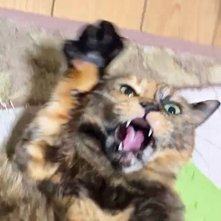 9017a9b4 b938 4cc3 b475 4494118de0b0 1738613413432