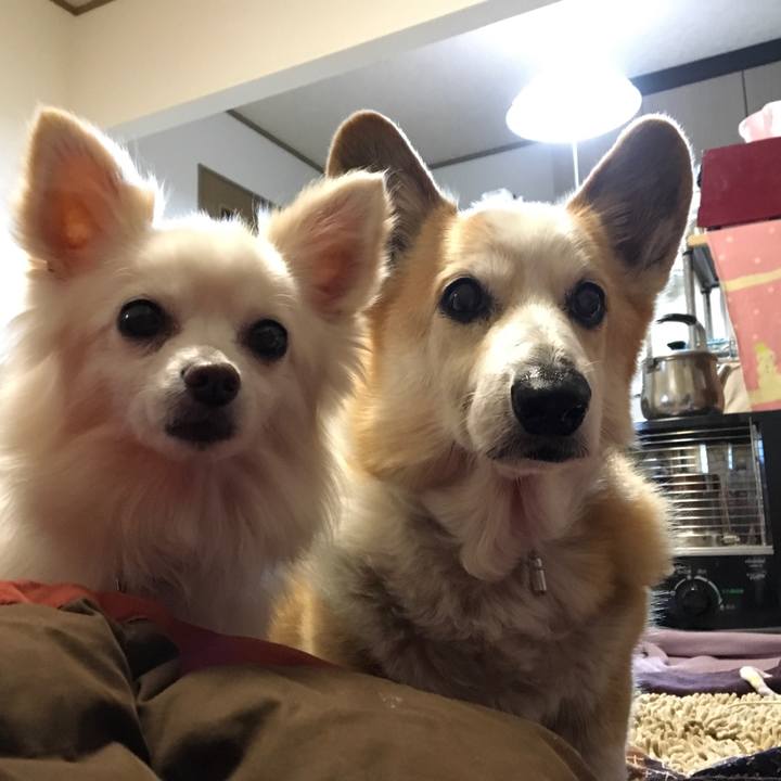 9017d6f8 ba85 4341 ac2d 6c3bb17ea787 1525058912417