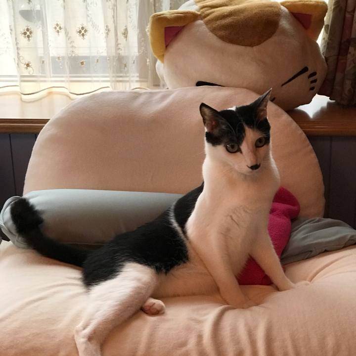 9017df54 ed53 4e51 a4f4 e2f6974b7e8e 1544793306707