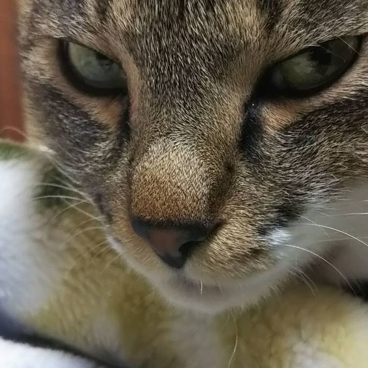 9017ed19 6a69 4b5d bdf3 72fa743cb1b7 1610293771859